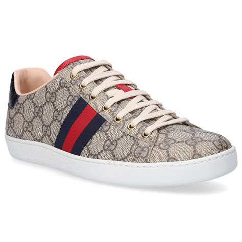 Gucci low top sneaker